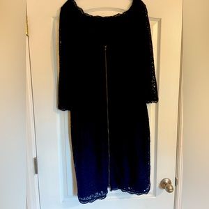 Navy Lace Cocktail Adrianna Papell Dress with Exposed Zipper